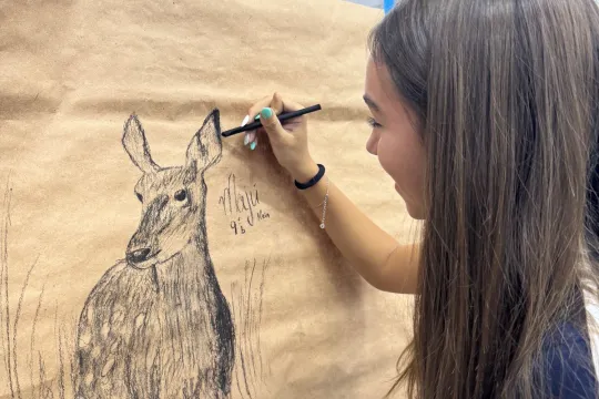 Arte: Pintura Rupestre