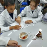 Laboratório - Biologia, Física e Química