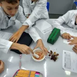 Laboratório - Biologia, Física e Química