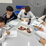 Laboratório - Biologia, Física e Química