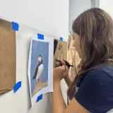 Arte: Pintura Rupestre