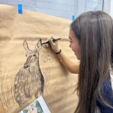 Arte: Pintura Rupestre
