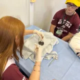 Alunos do Ensino Médio e Pré-Vestibular Participam de Workshop de Medicina da USP