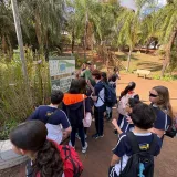 Vivência Prática – 7º Ano | Parque do Basalto