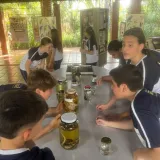 Vivência Prática – 7º Ano | Parque do Basalto