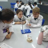 Laboratório - Biologia, Física e Química