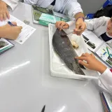Laboratório - Biologia, Física e Química