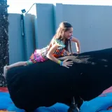 Arraiá Conexão 2026