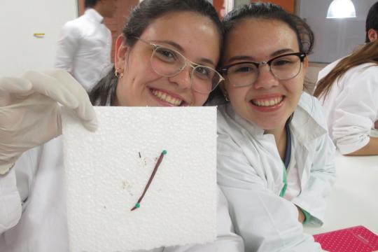  Morfologia de Anelídeos
