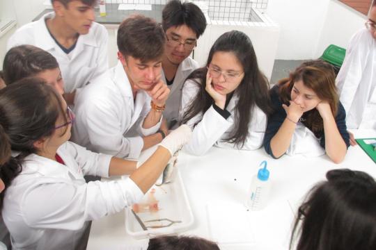 Anatomia interna e externa do peixe