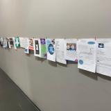 EXPOSIÇÃO DOS TRABALHOS