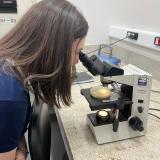 Visita técnica na Faculdade de Ciências Farmacêuticas de Araraquara (UNESP). 