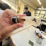 Visita técnica na Faculdade de Ciências Farmacêuticas de Araraquara (UNESP). 