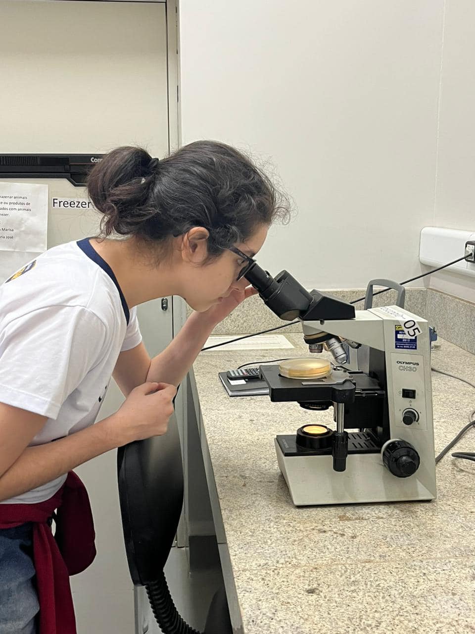 Visita técnica na Faculdade de Ciências Farmacêuticas de Araraquara (UNESP). 