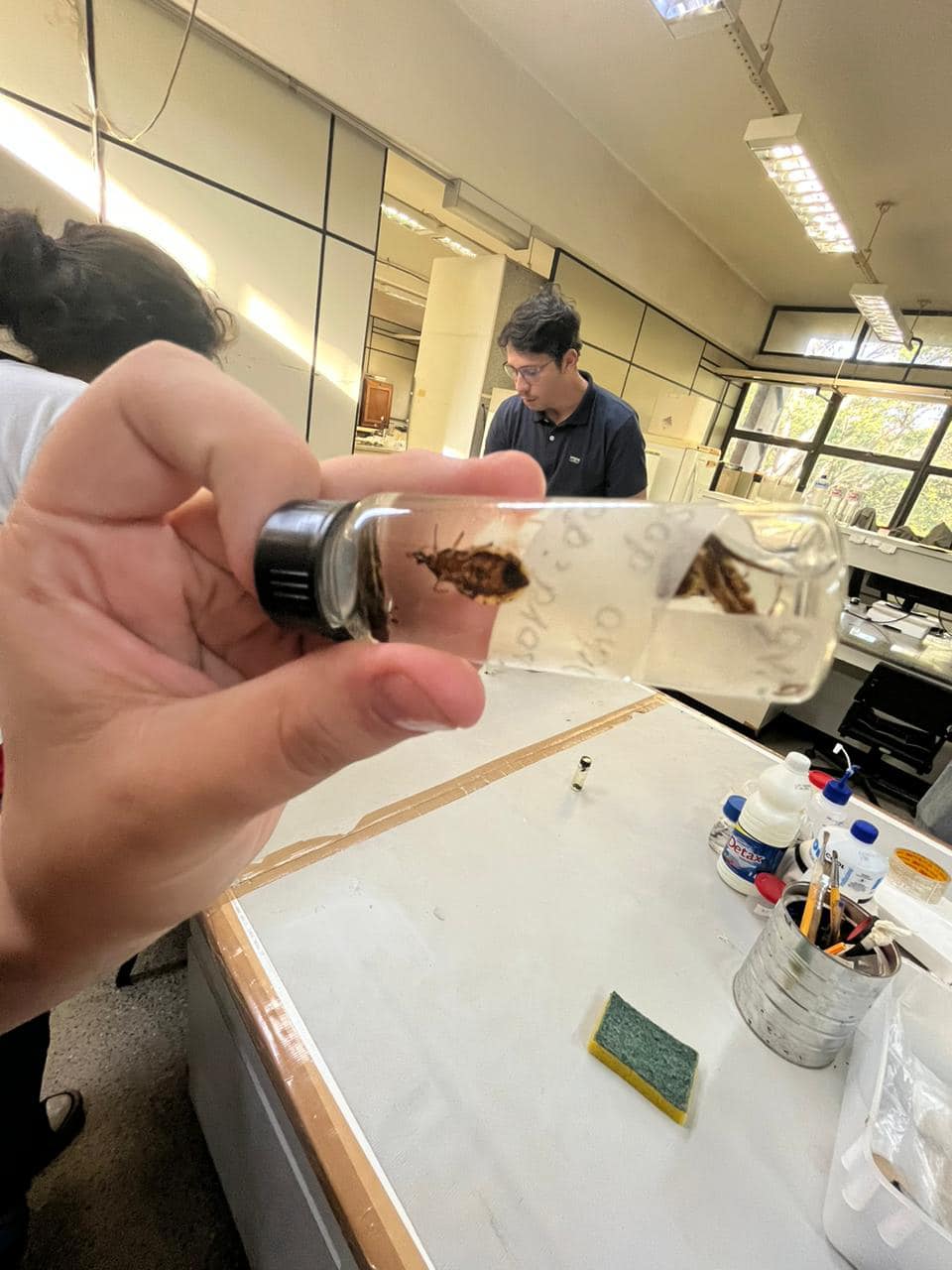 Visita técnica na Faculdade de Ciências Farmacêuticas de Araraquara (UNESP). 