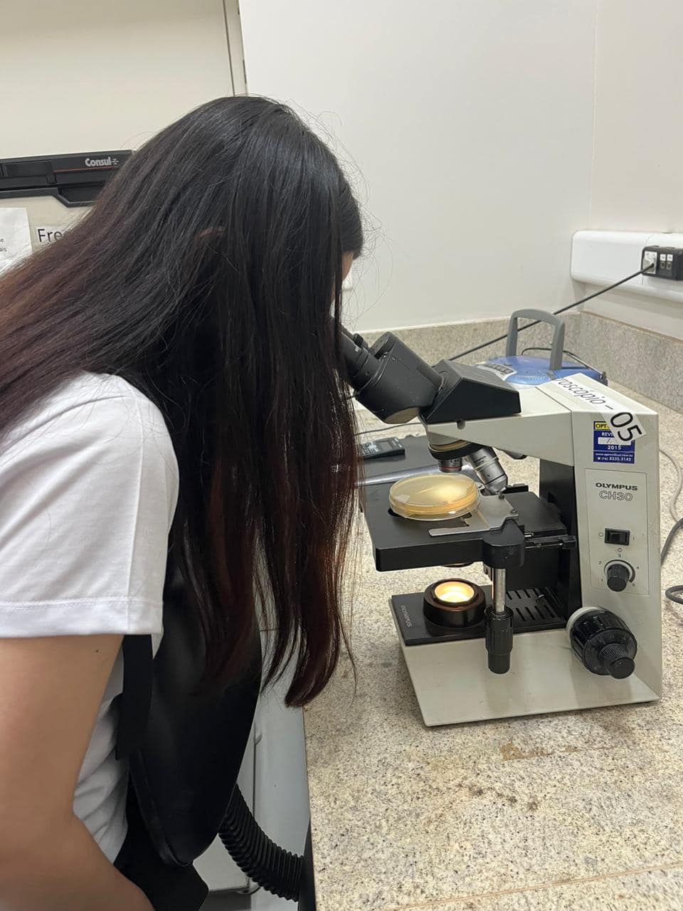 Visita técnica na Faculdade de Ciências Farmacêuticas de Araraquara (UNESP). 