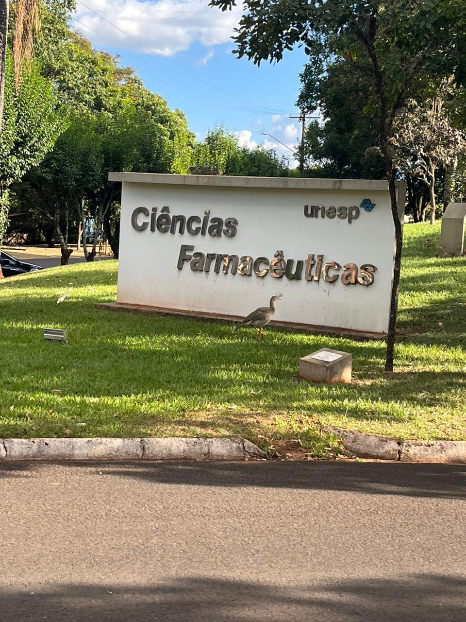 Visita técnica na Faculdade de Ciências Farmacêuticas de Araraquara (UNESP). 