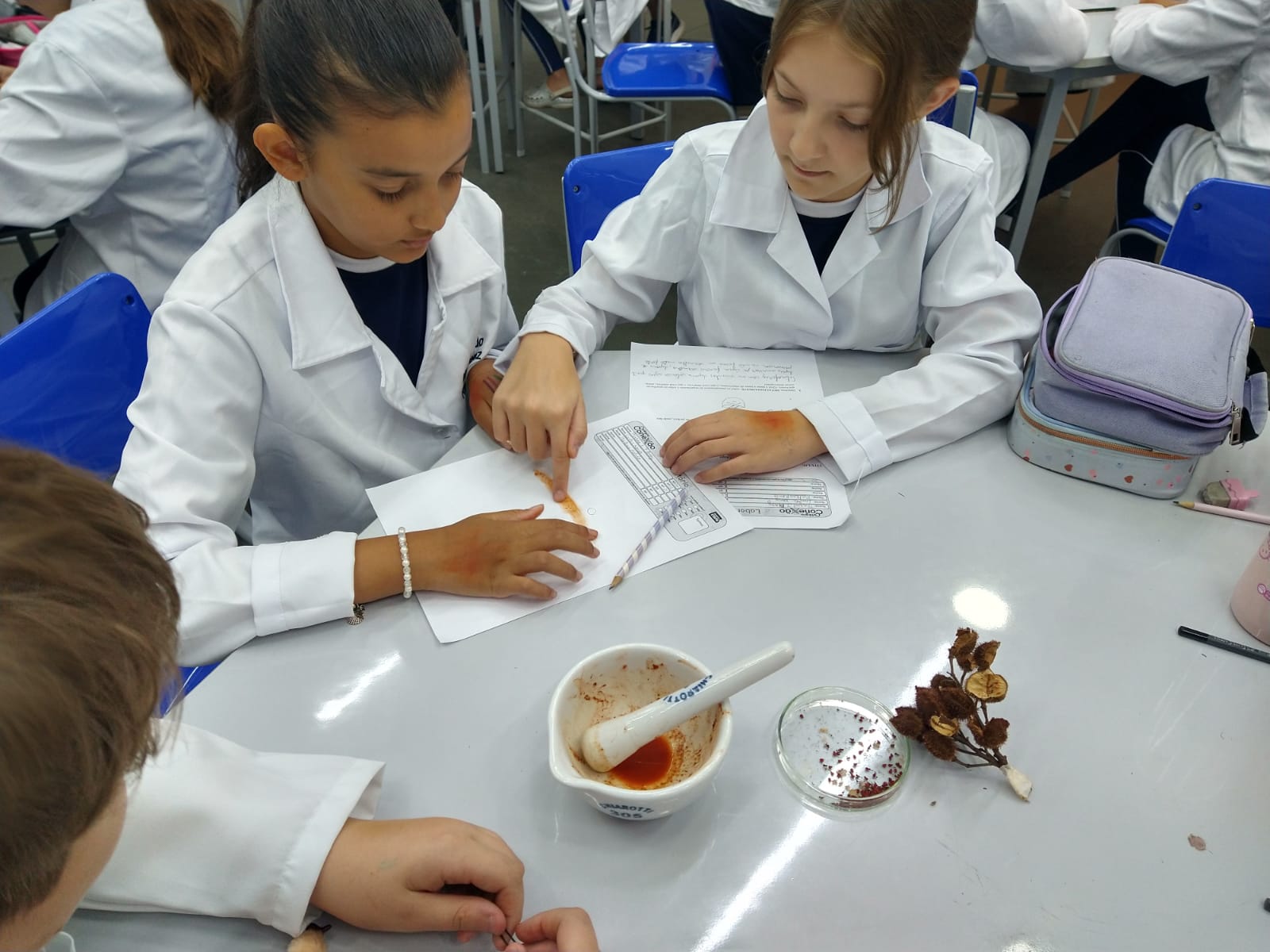 Laboratório - Biologia, Física e Química