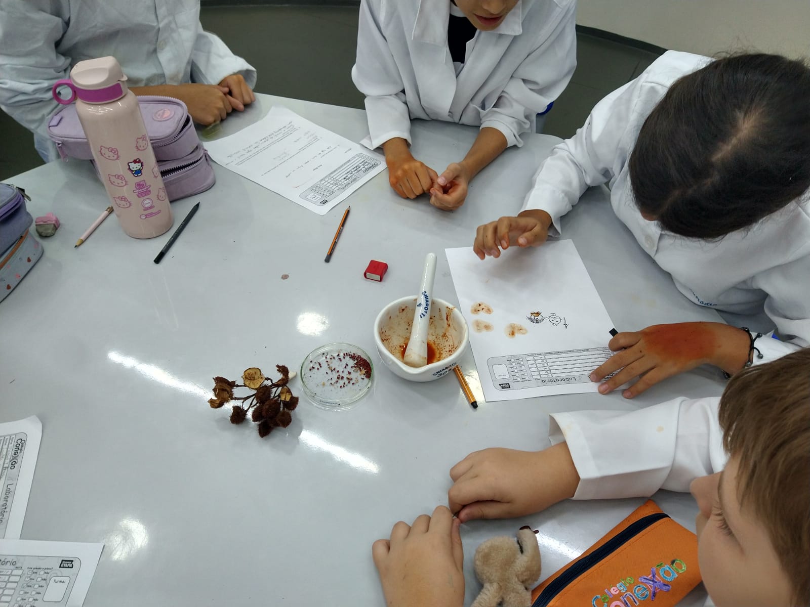Laboratório - Biologia, Física e Química