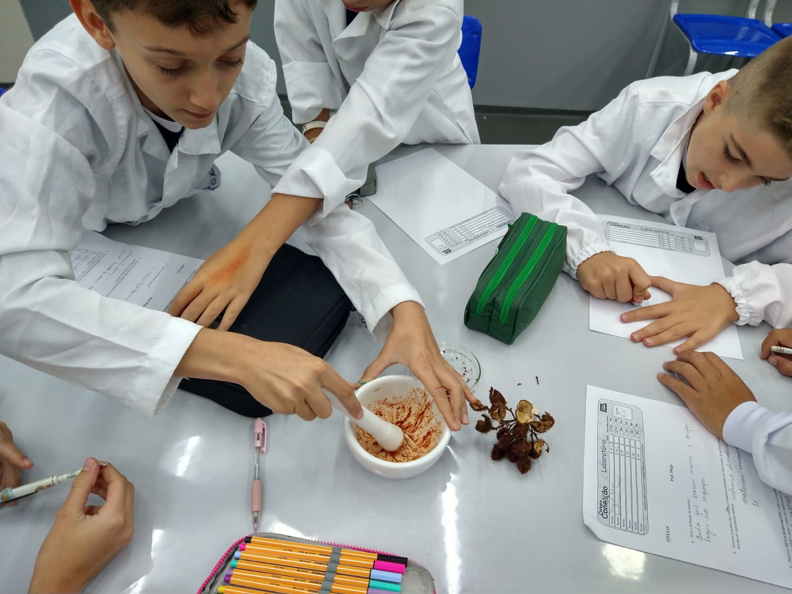 Laboratório - Biologia, Física e Química