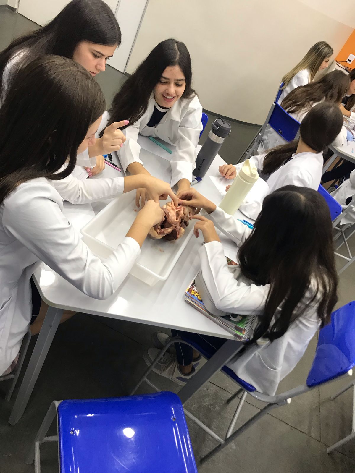 Laboratório - Biologia, Física e Química