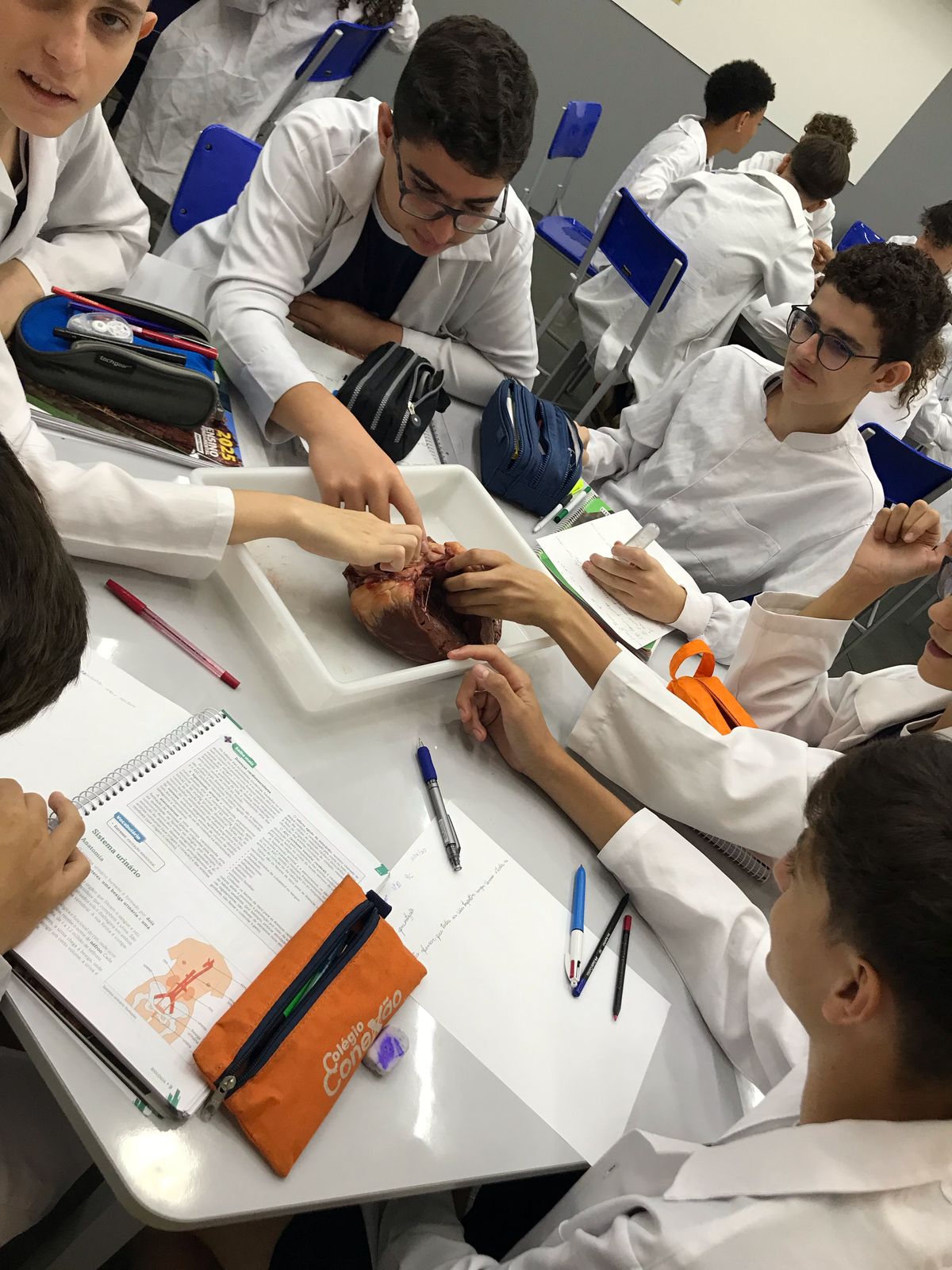 Laboratório - Biologia, Física e Química