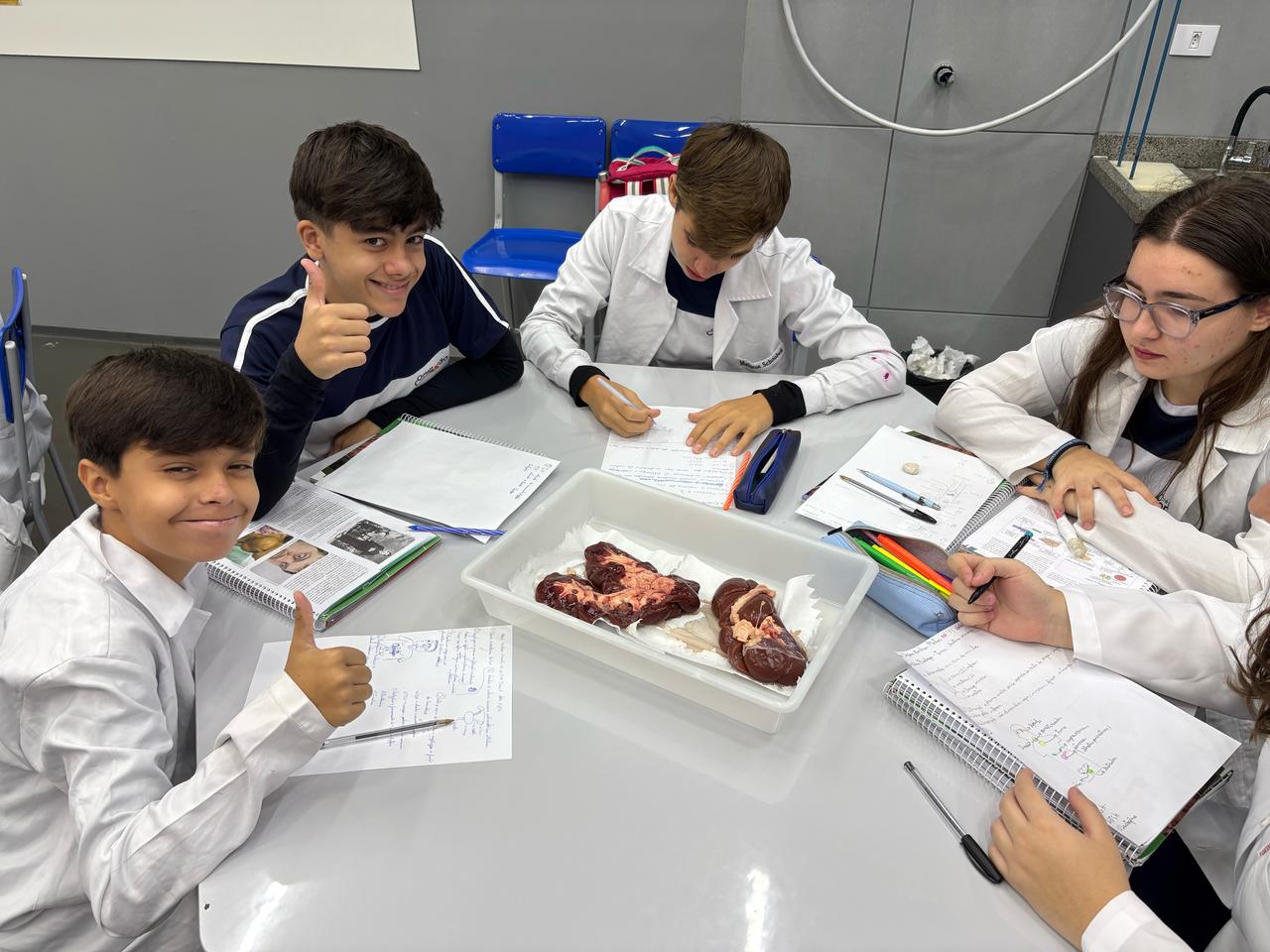 Laboratório - Biologia, Física e Química