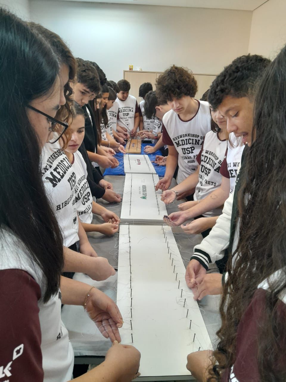 Alunos do Ensino Médio e Pré-Vestibular Participam de Workshop de Medicina da USP