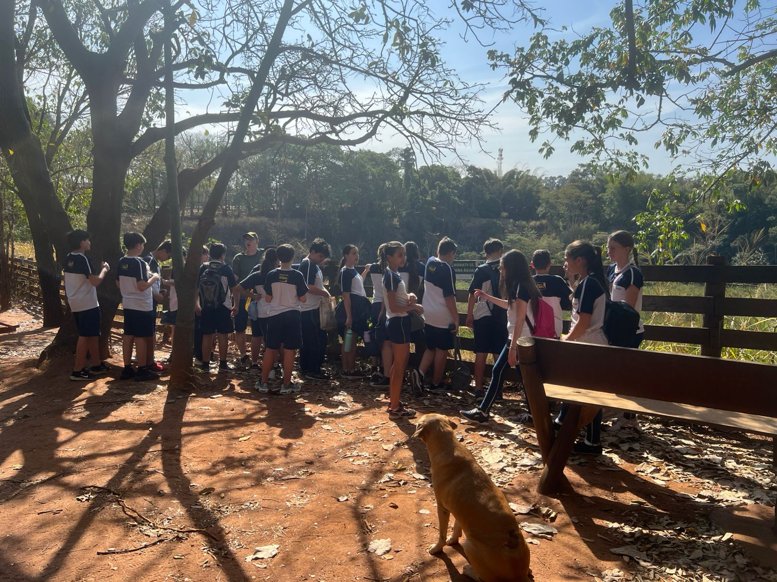 Vivência Prática – 7º Ano | Parque do Basalto