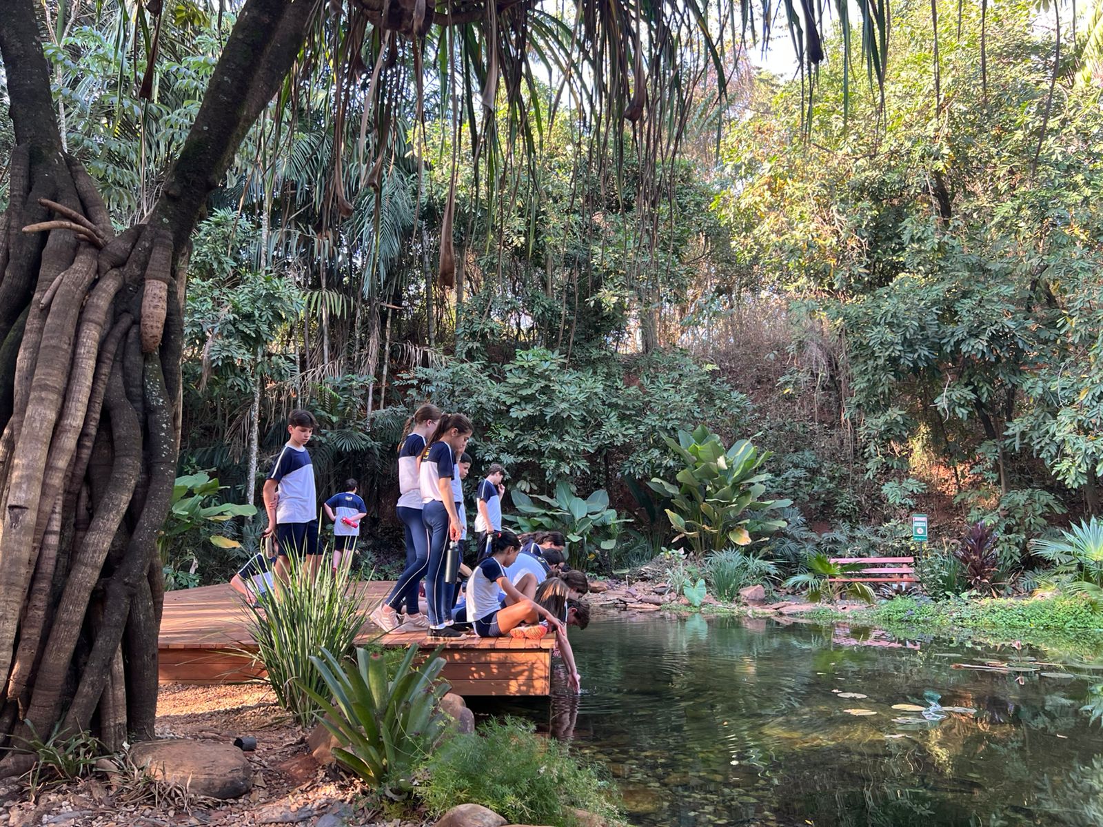 Vivência Prática – 7º Ano | Parque do Basalto