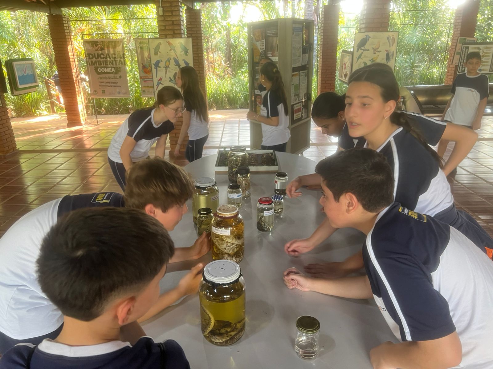 Vivência Prática – 7º Ano | Parque do Basalto