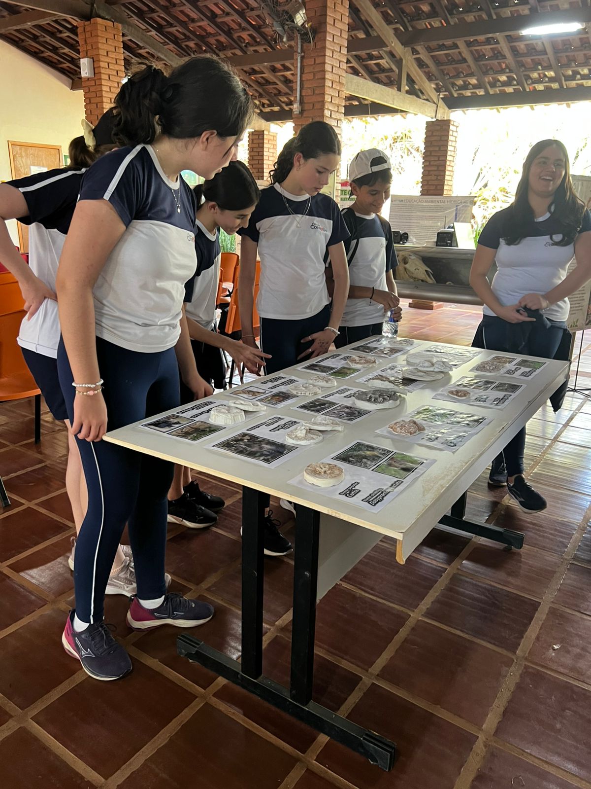 Vivência Prática – 7º Ano | Parque do Basalto