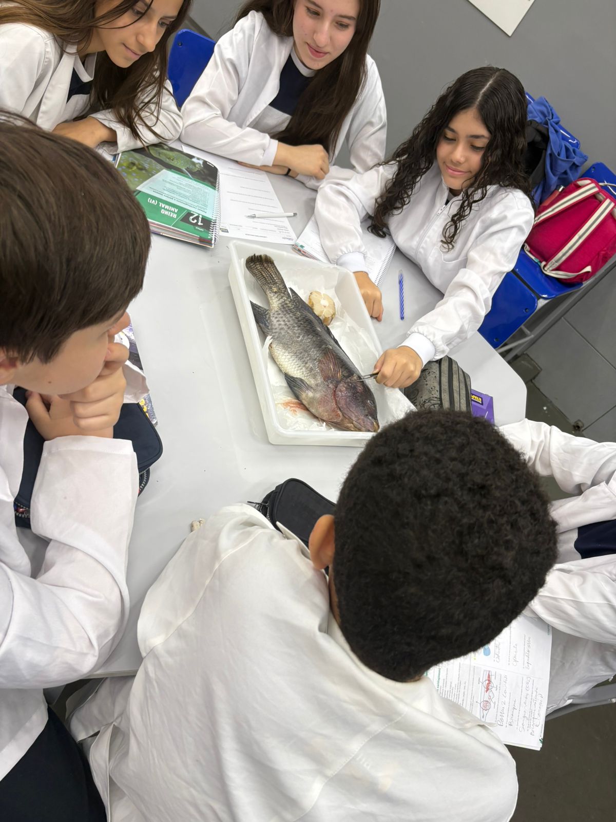 Laboratório - Biologia, Física e Química