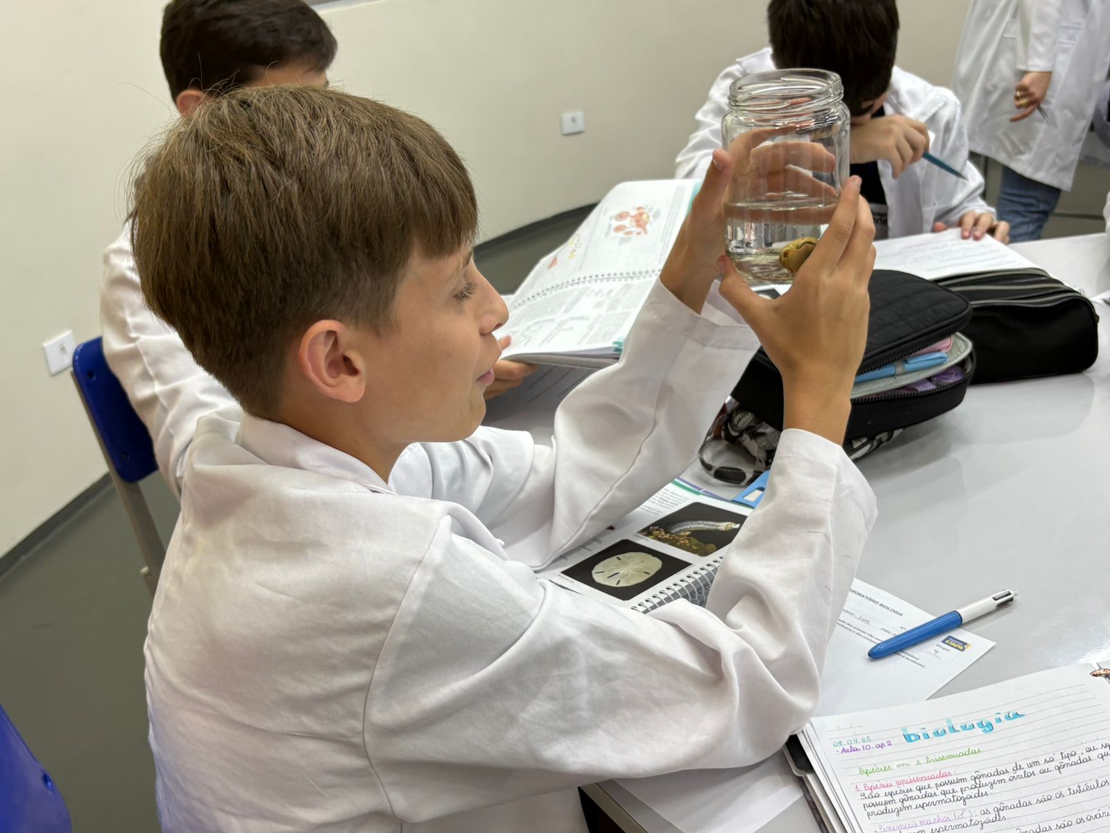 Laboratório - Biologia, Física e Química