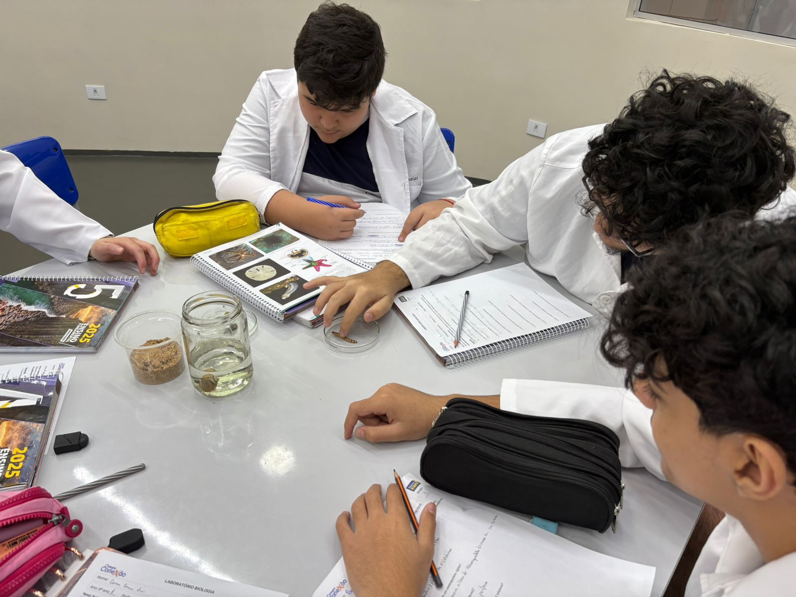 Laboratório - Biologia, Física e Química