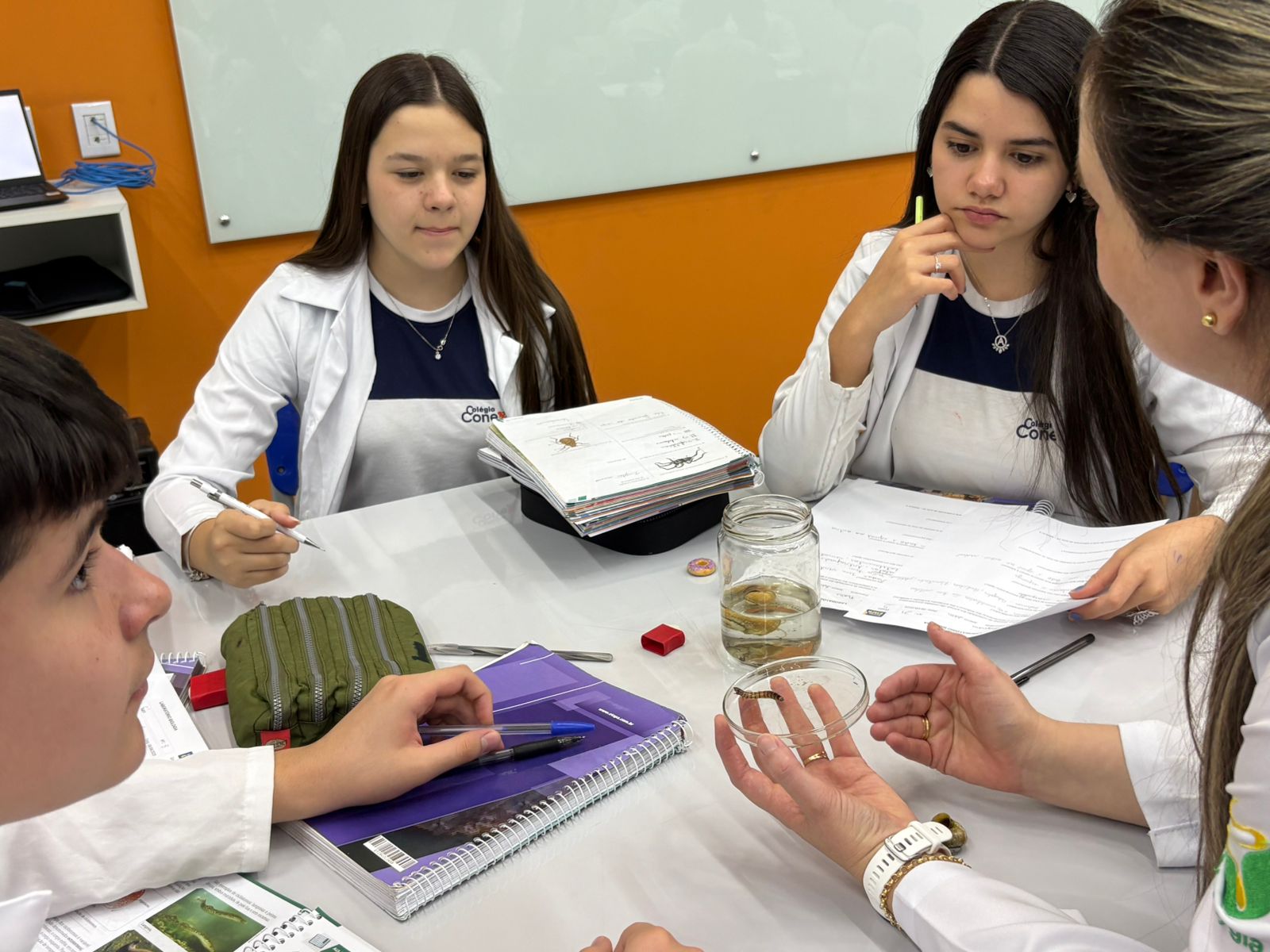 Laboratório - Biologia, Física e Química