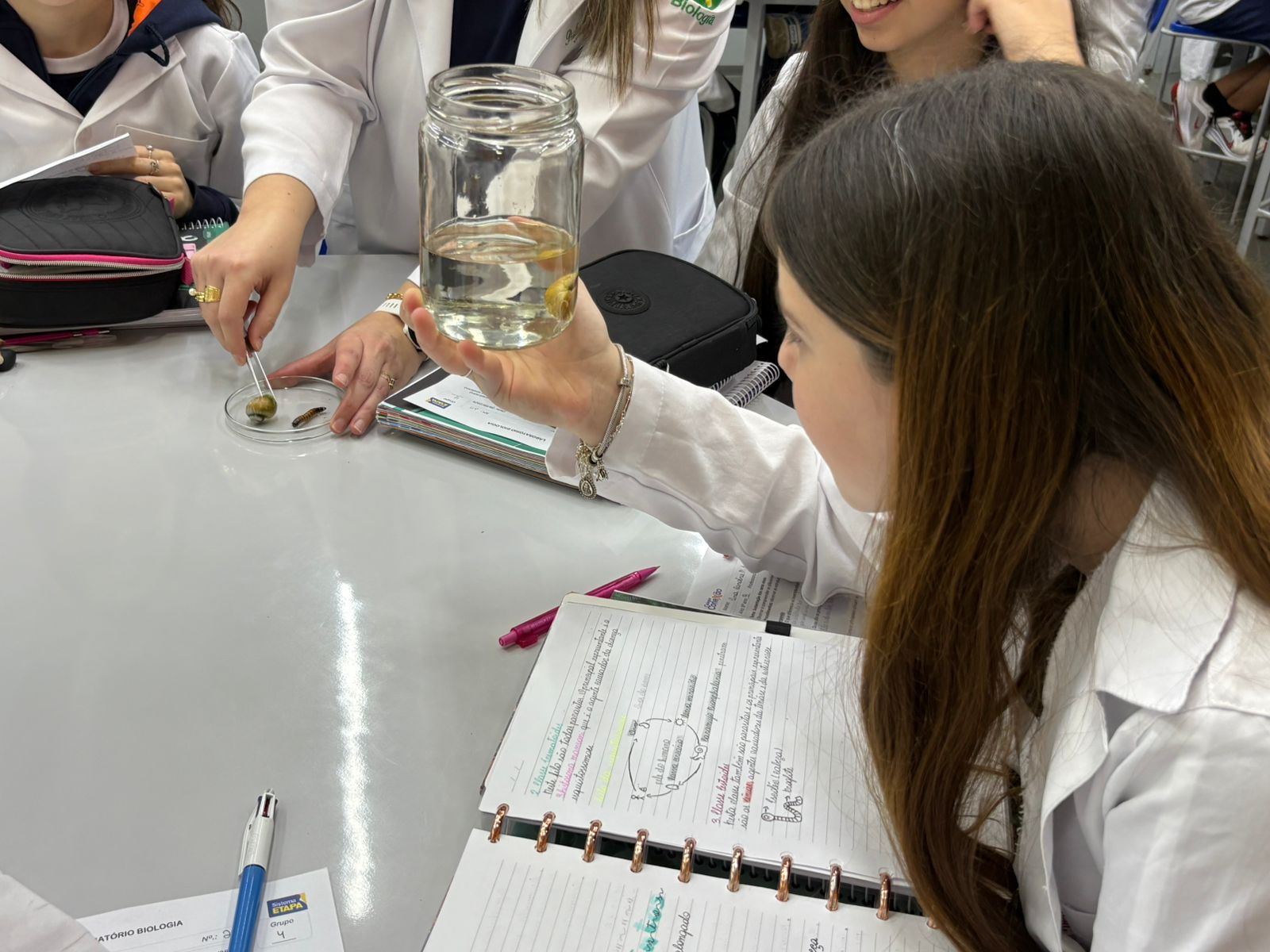 Laboratório - Biologia, Física e Química