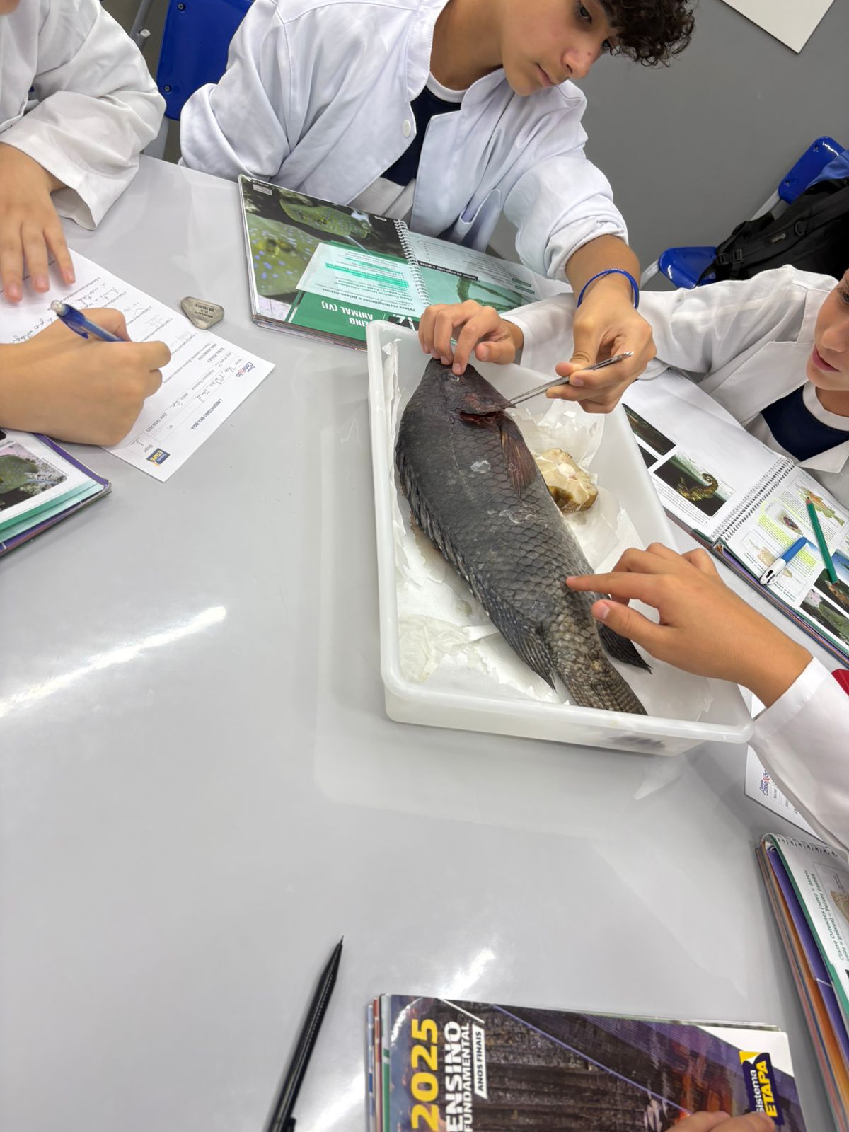 Laboratório - Biologia, Física e Química